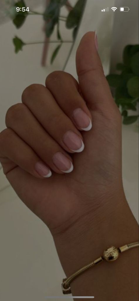 Basic Nails Acrylic Short Almond, Nail Inspo 11-12 Yo, Clean Nails Aesthetic Short, Semi Nails Ideas, French Nails Natural Nail, Short Rounded French Tip Nails, Short Natural Acrylics, Short Nails White Tip, Natural Nails For School