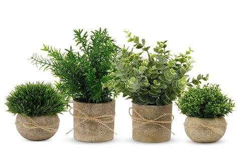 Faux Plants With Ribbon Hobby Lobby Farmhouse Decor Living Room, Plants For Home Decor, Fake Potted Plants, Rosemary Plant, Plants For Home, Small Indoor Plants, Artificial Plants Indoor, Artificial Topiary, Room Shelf