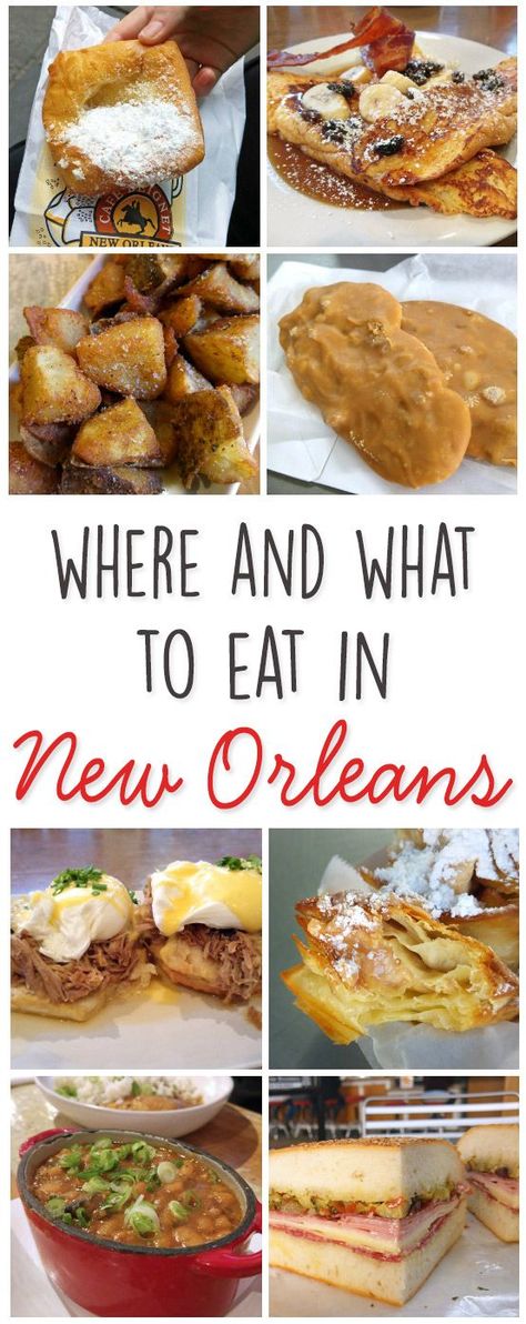 Where and What to Eat in New Orleans Romantic New Orleans, New Orleans Travel Guide, New Orleans Vacation, Louisiana Travel, New Orleans Travel, All I Ever Wanted, New Orleans Louisiana, Future Travel, Food Tours