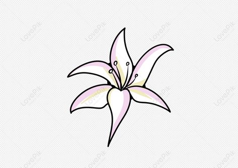 Red Lily Flower, White Lily Flower, Flower Png Images, Lilly Flower, Red Lily, Lily Flowers, Cartoon Flowers, Dark Flowers, Free Cartoons