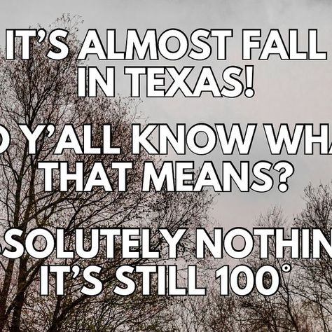 Texas Memes on Instagram Texas Memes Humor, Texas Jokes, Texas Meme, Texas Funny, Problem Meme, Texas Humor, Only In Texas, Texas Things, Texas Life