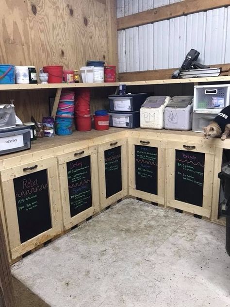 Diy Horse Feed Storage, Horse Wash Bay Ideas, Horse Grain Storage Ideas, Feed Rooms For Horses, Feed Room Horse, Horse Stall Design, Barn Setup Ideas, Horse Boarding Facility Ideas, Horse Feed Room Ideas