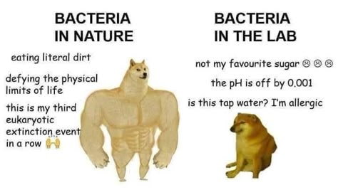 Biology Jokes, Biology Memes, Biology Humor, Nerdy Jokes, Nerdy Humor, Nerd Jokes, Science Geek, Nerd Humor, Funny Science Jokes