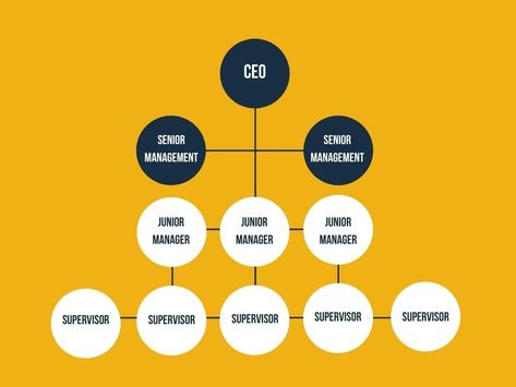 Hierarchical Structure: Definitions and Examples Hierarchical Structure, Middle Management, Chain Of Command, Organizational Structure, Management Styles, Senior Management, Complex Systems, Pros And Cons, Decision Making