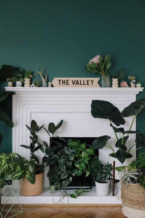 Chimney Plant Decor, Plants Inside Fireplace, Plants In Front Of Fireplace, Non Functioning Fireplace Ideas, Fireplace Plants, Fancy Fireplace, Cool Fireplaces, Empty Fireplace Ideas, Bungalow Makeover