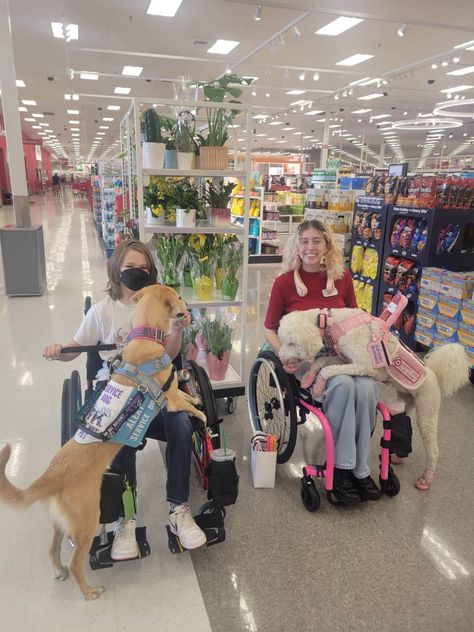 Two service dogs, lying on their handlers wheelchairs Service Dog At School, Service Dog Videos, Cute Wheelchair, Dog Vest Diy, Happy Best Friends Day, Happy Best Friends, Hospital Core, Pup Cups, Happy Best Friend Day