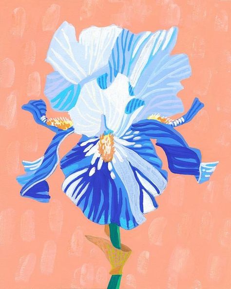 Iris Illustration, Mughal Flowers, Gouache Flowers, Iris Art, Iris Painting, Artfully Walls, Mixed Media Photography, College Dorm Decorations, Botanical Collection