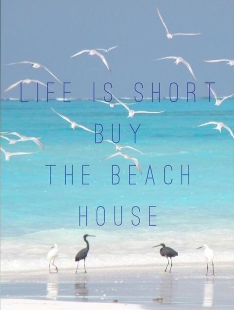 Life is short buy the beach house Beach House Quotes, Seashell Mirrors, Feelings Faces, Gratitude Board, Beach Inspiration, Shell Craft, Beach Interior, The Beach House, Ocean Quotes