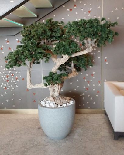 Custom-made fake bonsai trees have become trendy as a special type of indoor decor. These small copies offer the beauty of real bonsai without needing so much care. They let you add a bit of nature to any room, no matter the light or your plant skills. Fake Bonsai Tree, Artificial Bonsai Tree, Artificial Plants And Trees, Bonsai Trees, Real Plants, Tree Shapes, Beauty Inside, Nature Indoors, Snake Plant