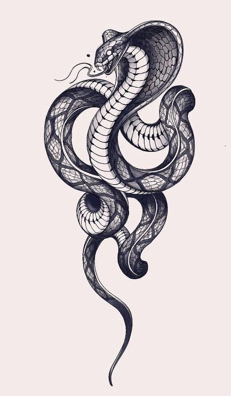 Cobra Tattoo, Serpent Tattoo, Snake Tattoo Design, Tatuaje A Color, Tattoo Desings, Tattoo Style Drawings, Tattoo Design Book, Black Ink Tattoos, Art Tattoos