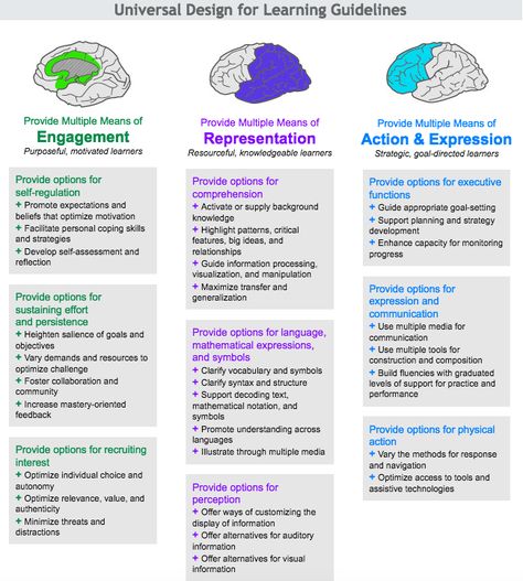 Udl Classroom, Pedagogical Documentation, Universal Design For Learning, Good Customer Service Skills, Teacher Leadership, Formative And Summative Assessment, Lesson Plan Examples, Blooms Taxonomy, Learning Framework