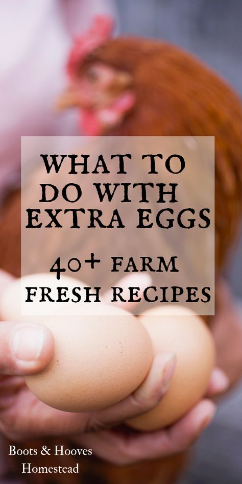 40+ farm fresh egg recipes. What to do with extra eggs when you’re in overabundance. Ideas and recipes for using up eggs. Many ways to preserve fresh eggs. Egg Recipes For Dinner, Eggs Dinner, Healthy Egg Recipes, Fresh Egg, Egg Diet Plan, Farm Fresh Recipes, Healthy Eggs, Egg Diet, Farm Fresh Eggs