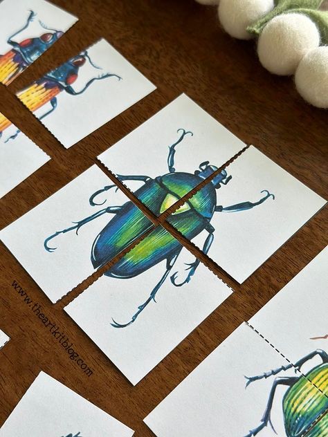 Beetle Activities For Preschool, Beetle Crafts For Kids, Free Bug Printables, Beetle Crafts Preschool, Insect Crafts Preschool Bug Activities, Beetle Craft, Insects Activities, Heart Group, Natural Classroom