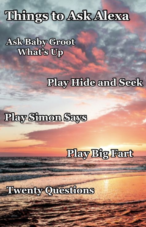 Fun Questions To Ask Alexa, Alexa Funny Questions, Things To Say To Your Alexa, Fun Things To Say To Alexa, Alexa Up Down Left Right, What To Say To Your Alexa, Stuff To Say To Alexa, Things To Tell Alexa, Things To Ask Alexa Funny