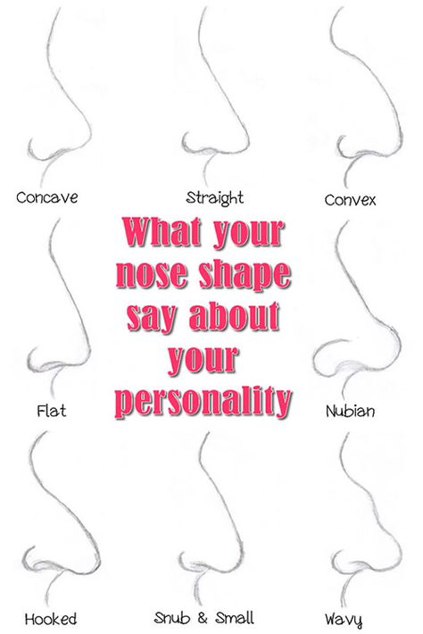 What your nose shape say about your personality | Style Idea Greek Nose, 1000 Lifehacks, Straight Nose, Face Reading, Button Nose, Nose Shapes, Word Online, School Communication, Creating A Newsletter