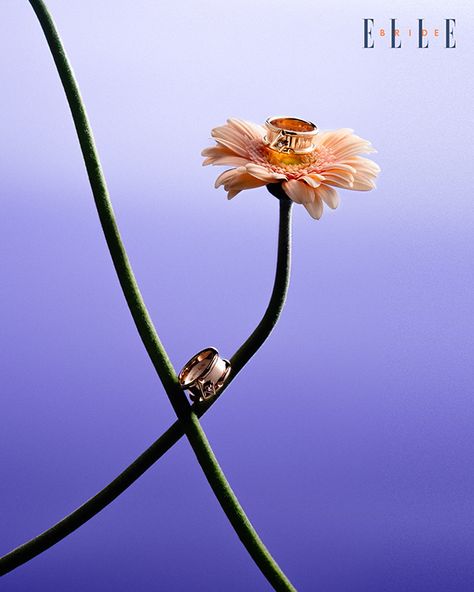 BLOSSOMING OF QUINTESSENCE :: Behance Lotus Jewelry, Photography Product, Photography Styling, Jewelry Photography, Flower Bud, Creative Jewelry, Life Inspiration, Love Can, Adobe Lightroom