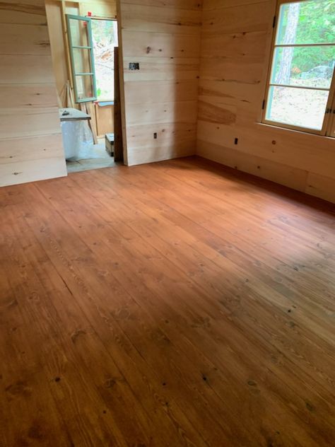 Gunstock Stain, Stain On Pine, Floor Stain, Pine Floors, Wood Flooring, House Stuff, Wood Floors, Hardwood Floors, New Homes