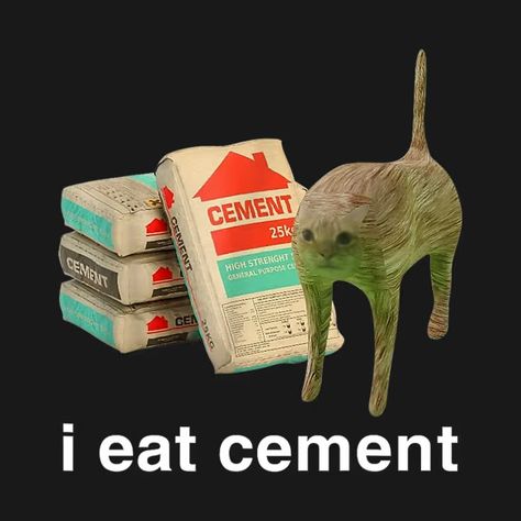 I Eat Cement Cat Meme T-Shirt I Eat Cement, Cursed Cat, Cement Design, Oddly Specific, Cat Png, Cat Meme, Girl Dinner, Curious Cat, Meme Tshirts