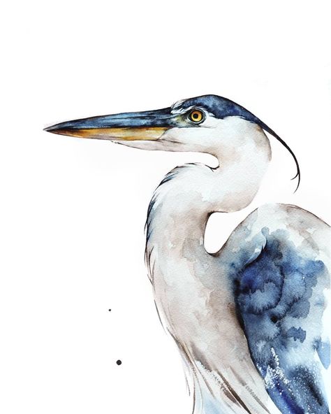 Painted Wing on Instagram: “If you have been following me for awhile you might remember when I used to do a thing that I called Painted Wing Club. Painted Wing Club…” Heron Watercolor, Painted Wings, Pelican Art, Heron Art, Sheep Paintings, Coastal Birds, Sheep Art, Great Blue Heron, Watercolor Paintings For Beginners