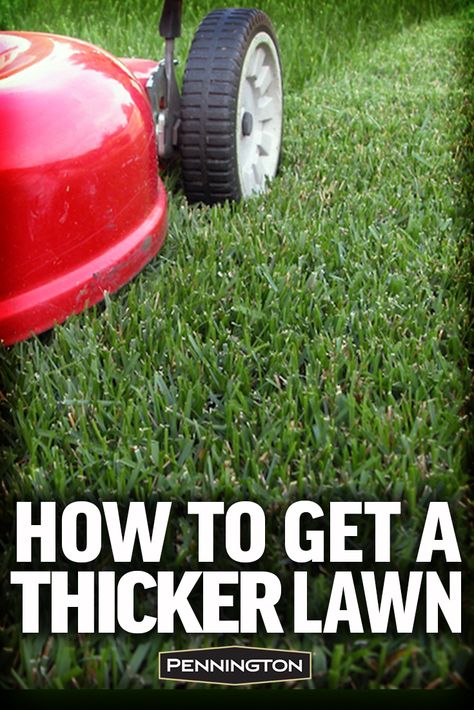 Spring Lawn Care, Aerate Lawn, Diy Lawn, Lawn Care Tips, Lawn Service, Lush Lawn, Healthy Lawn, Lawn Maintenance, Lawn And Landscape