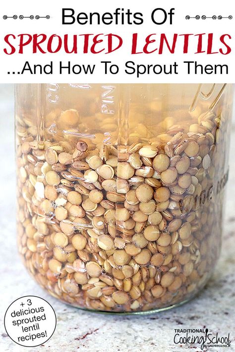 Sprouted lentils... a crunchy, flavorful, and nutritious way to dress up a variety of dishes, from salads to tacos to chili! I'll show you how to sprout lentils with easy step-by-step instructions, plus share 3 delicious recipes for sprouted lentils. First you sprout, then you cook. It's easy as pie! #sproutedlentils #sprouting #lentils #recipes Sprouting Lentils, Sprout Lentils, How To Sprout Lentils, Sprouted Lentils, Attainable Sustainable, Lentils Recipes, Autoimmune Recipes, Lentil Tacos, Protein Vegetarian