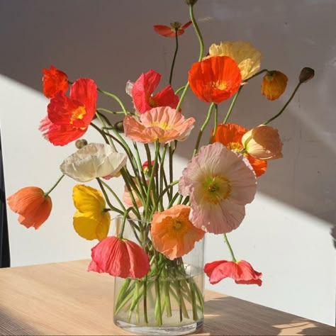 Poppy Flower Decor, Floral Arrangements Minimalist, Poppy Flower Wedding Bouquet, Simple Summer Flower Arrangements, Small Spring Flower Arrangements, Poppy Floral Arrangements, Spring Bouquet In Vase, Minimal Flower Arrangements, Poppies Arrangement