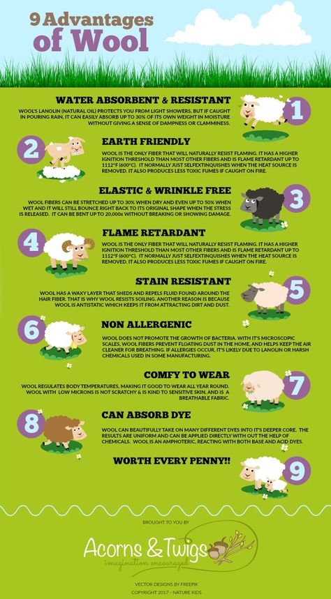 9 Advantages of Wool | Acorns & Twigs Fabric Knowledge, Sheep Poster, Nurture Your Soul, Spinning Wool, Fibre And Fabric, Spinning Yarn, Backyard Farming, Personal Health, Travel Design