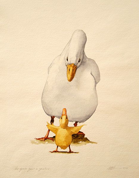 Goose Watercolor, Duck Paintings, Goose Painting, Goose Illustration, Barry Moser, Goose Drawing, Goose Art, Baby Animal Drawings, Duck Art