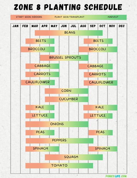 Zone 8 Planting Schedule and Calendar: A Quick Guide - Ponics Life Zone 8 Planting Schedule, Seed Planting Calendar, Zone 8 Gardening, Mini Homestead, Simple Homestead, Making A Garden, Planting Schedule, Growing Calendar, Garden Section