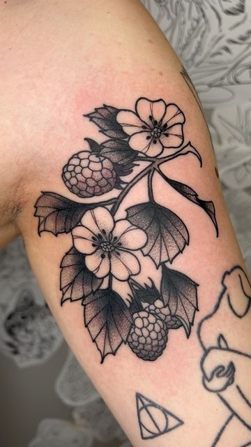 Neotraditional Blackberry Tattoo, Traditional Raspberry Tattoo, Raspberry Tattoo, Plant Tattoo Ideas, Blackberry Tattoo, Detroit Tattoo, Michigan Tattoos, Today Tattoo, Plant Tattoo