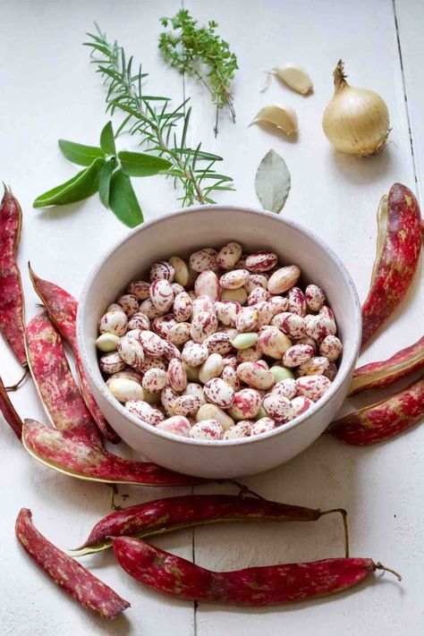 In this simple how-to guide you will find all you need to know to cook borlotti aka cranberry beans both fresh and dried to use in a variety of recipes. #borlottibeans #cranberrybeans #freshbeans #driedbeans #howtoguide #kitchentips #kitchenhacks Good Mother Stallard Bean Recipes, Fresh Cranberry Beans Recipe, Cranberry Beans Recipe, Allotment Recipes, Borlotti Beans, Beans In Crockpot, Cranberry Beans, Cooking Dried Beans, Make Hummus