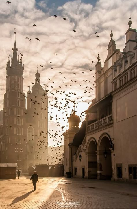 Beaux Arts Architecture, Krakow Travel, Visit Poland, Poland Travel, Krakow Poland, World Cities, City Landscape, City Street, City Photography