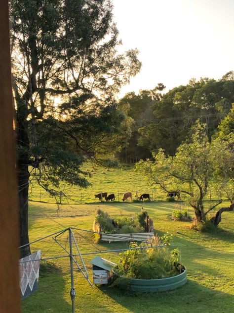 Cottagecore Farm, Dream Future, Farm Lifestyle, Avocado Tree, Far Future, Country Lifestyle, Ranch Life, Old Farm, Farm Yard