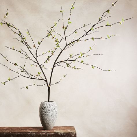 Faux Blossom Branch | West Elm Faux White Flowers, Twigs In Vase, Plants For Outdoor Planters, Dry Tree Branches Decoration, Plant Living Room Decor, Faux Plants Living Room, Faux Plants For Front Porch, Branches For Vases, Branches In Vase