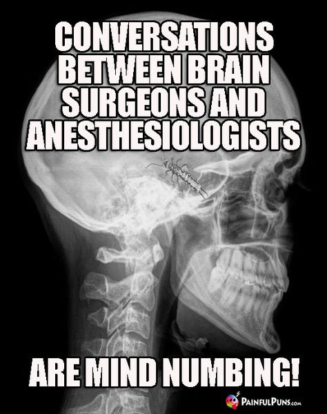 Conversations between brain surgeons and anesthesiologists are mind numbing. Mri Humor, Funny Doctor Jokes, Xray Tech Humor, Anesthesiologist Humor, Cv Help, Doctor Puns, Funny Xray, Doctor Jokes Humor, Anesthesia Humor