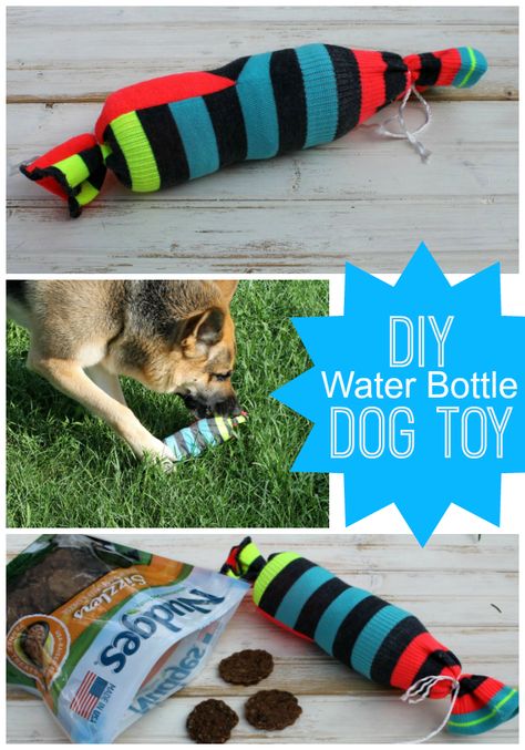 DIY Water Bottle Dog Toy Water Bottles Diy, Bottles Diy, Dog Paw Tattoo, Diy Water Bottle, Diy Dog Collar, Diy Dog Toys, Dog Quotes Love, Dog House Diy, Dog Teeth Cleaning