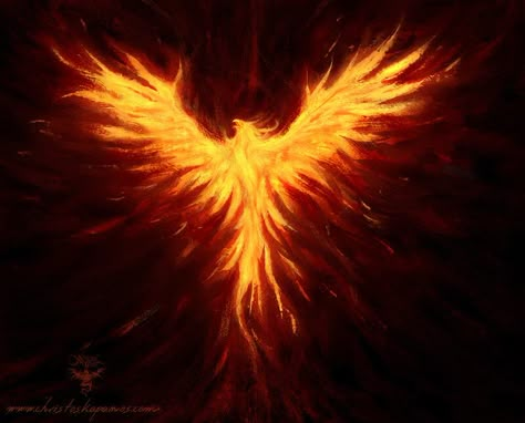 Phoenix Painting, Fenix Tattoo, Phoenix Wings, Phoenix Bird Tattoos, Phoenix Wallpaper, Phoenix Artwork, Phoenix Tattoos, Phoenix Tattoo Design, Amoled Wallpapers