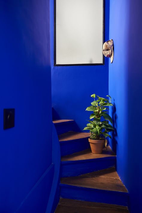 Blue Hallway, Bold Interior Design, Ui Ux 디자인, Yves Klein Blue, Eclectic Interior Design, Blue Room, Blue Rooms, Eclectic Interior, Blue Interior