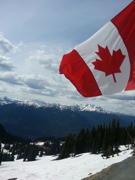 Canada Flag Aesthetic, Jack Zimmermann, Canada Background, Canadian Aesthetic, Canada Aesthetic, Canada Fall, Canada Vancouver, Canada Photography, Toronto City