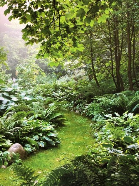 Backyard Woods Landscaping, Forest Garden Backyards, Forest Landscaping, House Garden Design, Garden Design Home, Aesthetic Home Decor Ideas, Hobbit Garden, Scandinavian Garden, Garden Forest