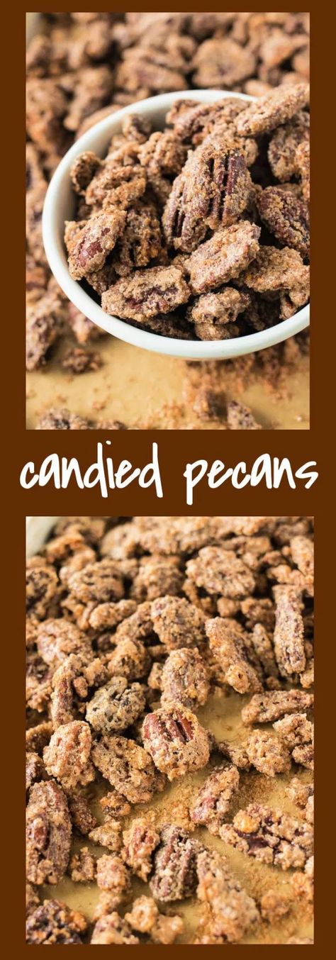 Candied Pecans - CPA: Certified Pastry Aficionado Snacks Christmas, Lemon Tree Dwelling, Cinnamon Pecans, Christmas Recipes Appetizers, Nut Recipes, Pecan Recipes, Candied Nuts, Candied Pecans, Lemon Tree