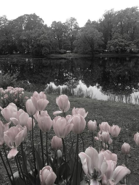 Creepy Cute Aesthetic, Angel Aesthetic, Nothing But Flowers, Pretty Landscapes, Creepy Cute, Nature Aesthetic, White Aesthetic, Green Aesthetic, Pink Aesthetic