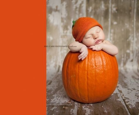 <b>It's Autumn! Time to stick your baby in a pumpkin!</b> But the question is, are any of them named Jack? Fall Newborn Pictures, Fall Baby Photos, Fall Baby Pictures, Photo Halloween, Foto Newborn, Newborn Halloween, Pumpkin Pictures, Baby Fotografie, October Baby