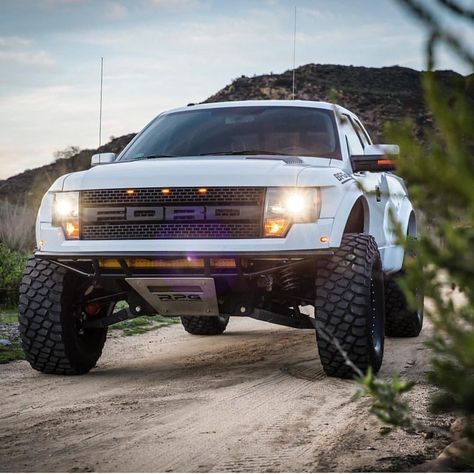 Raptor Overland, Ford Raptor Shelby, 2013 Ford Raptor, Ford F150 Custom, Ford Raptor Svt, Raptor Truck, Truck Bed Camping, F150 Raptor, Ford F150 Raptor