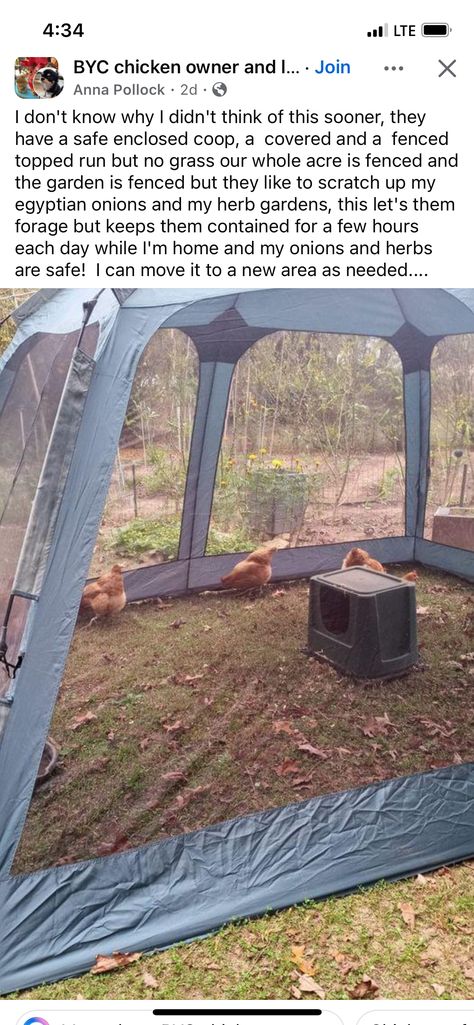 Turkey Coop Ideas, Peacock Cage, Chicken Boredom, Pallet Coop, Pasture Shelter, Outdoor Cat Run, Easy Diy Chicken Coop, Farm Hacks, Backyard Chicken Farming