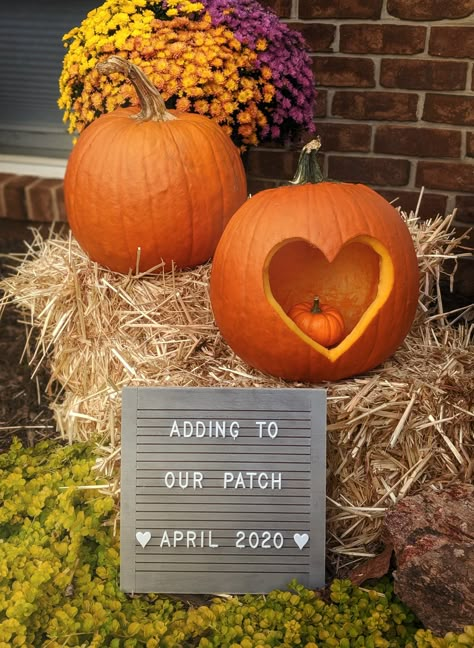 Pumpkin Maternity Photos, October Pregnancy Announcement, Chalkboard Halloween, Pumpkin Pregnancy Announcement, Pregnancy Announcement Chalkboard, Fall Baby Announcement, Pregnancy Announcement Pictures, Fall Baby Shower Themes, Pregnancy Announcement Family