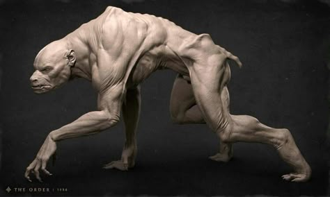 The Order 1886 The Order 1886, Creature 3d, Digital Sculpture, Werewolf Art, 다크 판타지, Animal Anatomy, Fantasy Monster, Monster Design, Creature Concept Art