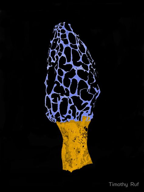 A ‘Black Velvet’ digital painting of a morel mushroom. Available as a photo print and other products from http://www.redbubble.com/people/timothyruf/works/12105476-black-velvet-morel Morel Mushroom Tattoo, Mushroom Tattoo, Mushroom Tattoos, Morel Mushroom, Mushroom Art, Fabric Ideas, Flowers Leaves, Art Tips, Photo Print