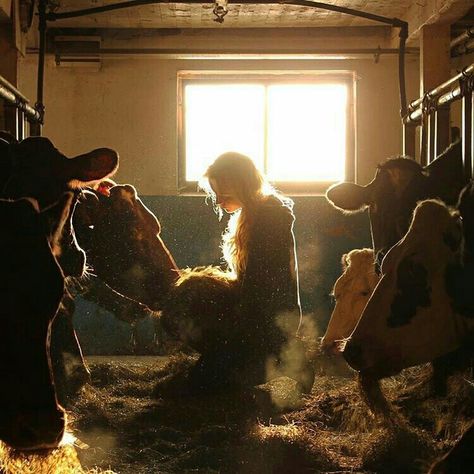 Shooting Couple, Future Farms, Farm Photography, Ranch Life, Farms Living, Down On The Farm, A Barn, Through The Window, Farm Animal