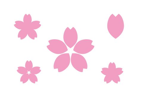 Draw Sakura Flower, Sakura Design, Sakura Petals Png, Sakura Flower Sticker, Sakura Illustration Flower, Sakura Png Flower, Cherry Blossoms Illustration, Flower Symbol, Floral Invitations Template